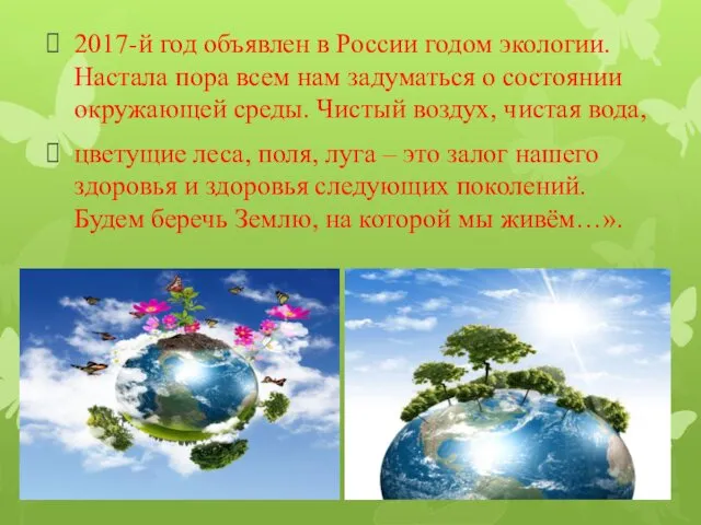 2017-й год объявлен в России годом экологии. Настала пора всем