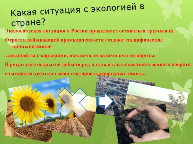 Какая ситуация с экологией в стране? Экологическая ситуация в России