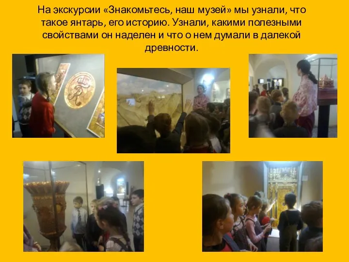 На экскурсии «Знакомьтесь, наш музей» мы узнали, что такое янтарь, его историю. Узнали,