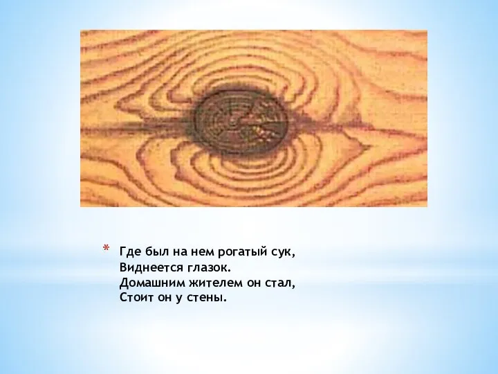 Где был на нем рогатый сук, Виднеется глазок. Домашним жителем он стал, Стоит он у стены.