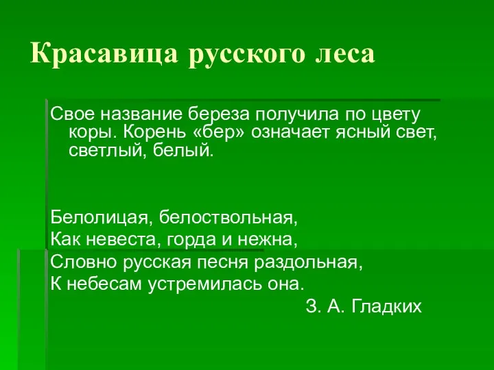 Красавица русского леса Свое название береза получила по цвету коры. Корень «бер» означает