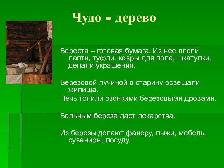 Чудо - дерево Береста – готовая бумага. Из нее плели