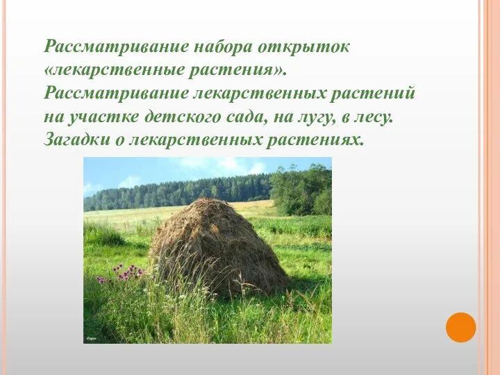 Рассматривание набора открыток «лекарственные растения». Рассматривание лекарственных растений на участке