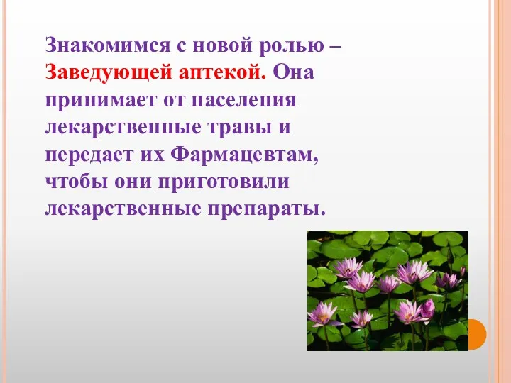 Знакомимся с новой ролью – Заведующей аптекой. Она принимает от населения лекарственные травы