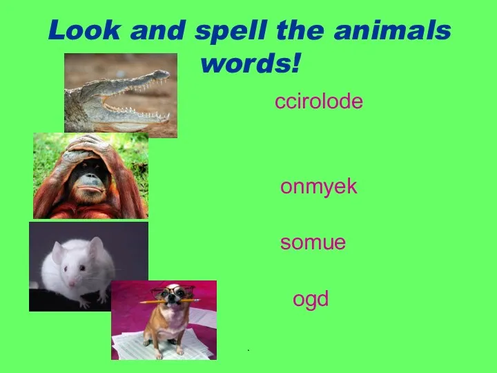 . Look and spell the animals words! ccirolode onmyek somue ogd