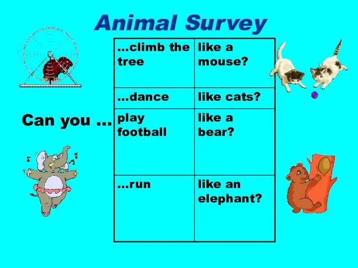 Animal Survey Can you …