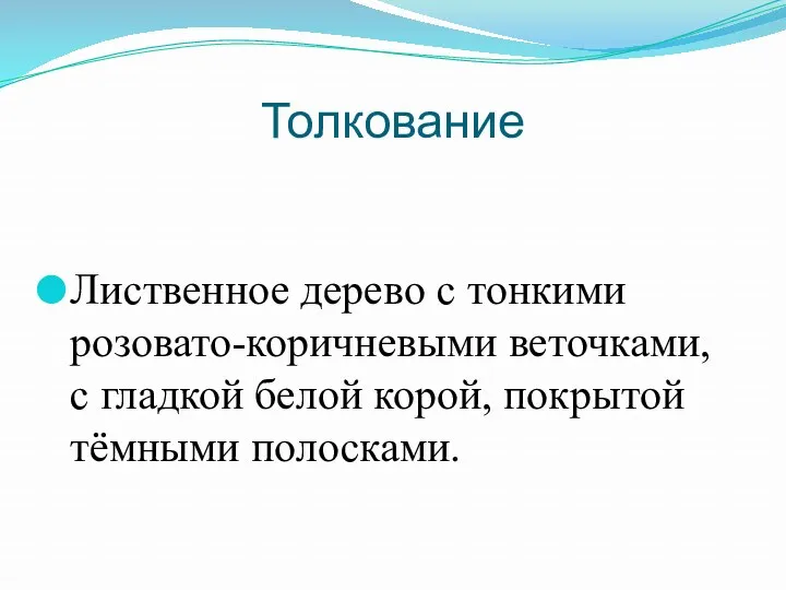 Толкование Лиственное дерево с тонкими розовато-коричневыми веточками, с гладкой белой корой, покрытой тёмными полосками.