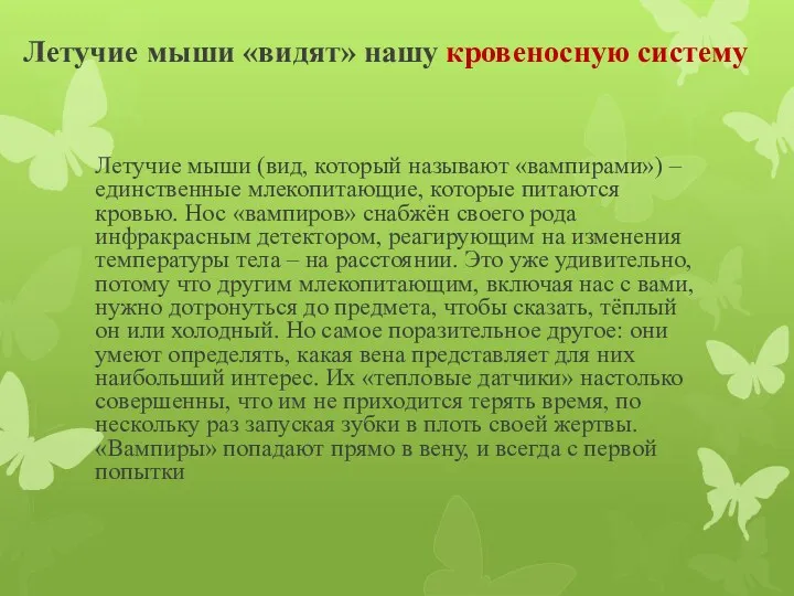 Летучие мыши «видят» нашу кровеносную систему Летучие мыши (вид, который