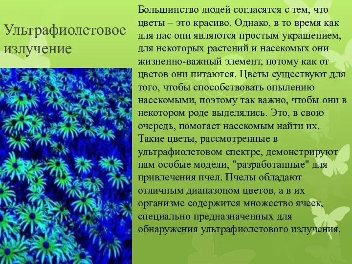 Ультрафиолетовое излучение Большинство людей согласятся с тем, что цветы –