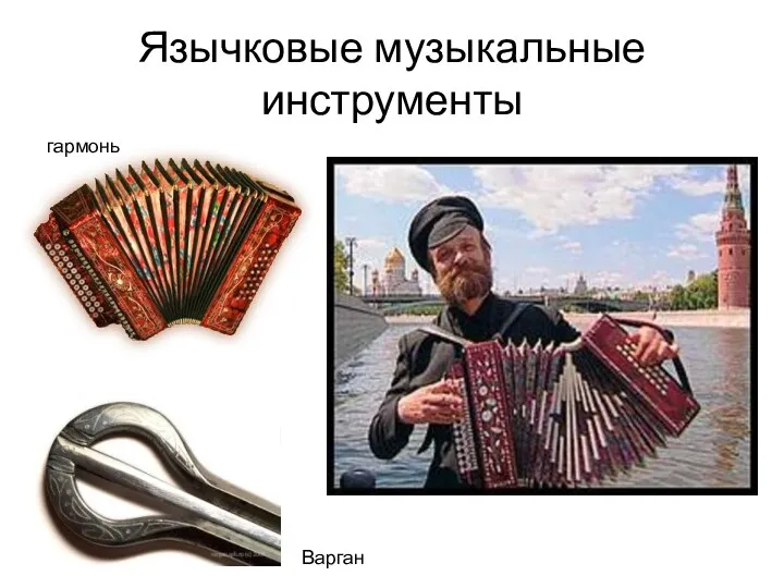 Язычковые музыкальные инструменты гармонь Варган