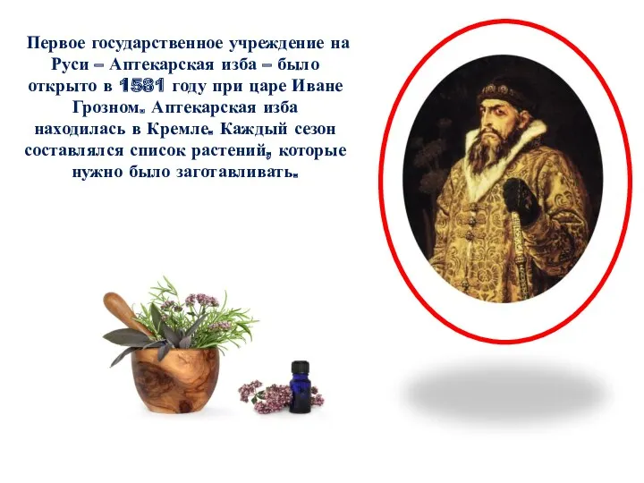 Первое государственное учреждение на Руси – Аптекарская изба – было