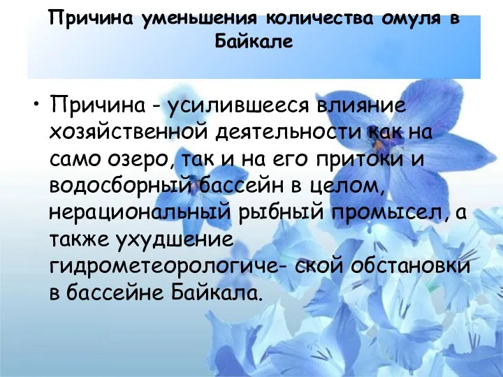 Причина уменьшения количества омуля в Байкале Причина - усилившееся влияние