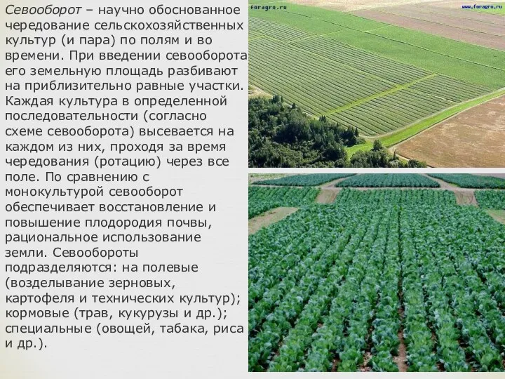 Севооборот – научно обоснованное чередование сельскохозяйственных культур (и пара) по полям и во