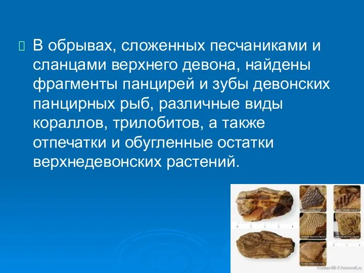 В обрывах, сложенных песчаниками и сланцами верхнего девона, найдены фрагменты