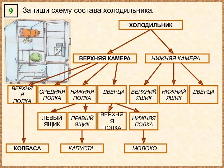 9 Запиши схему состава холодильника. ХОЛОДИЛЬНИК ВЕРХНЯЯ КАМЕРА ВЕРХНЯЯ ПОЛКА ЛЕВЫЙ ЯЩИК ВЕРХНЯЯ