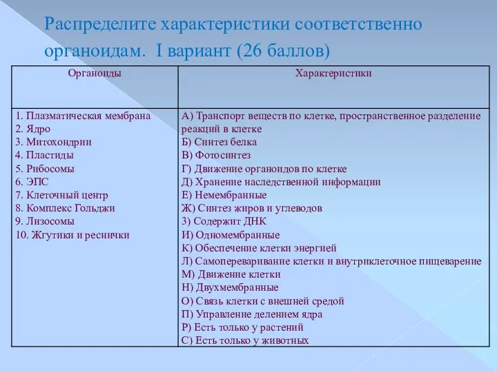 Распределите характеристики соответственно органоидам. I вариант (26 баллов)