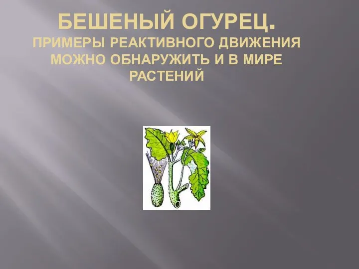 Бешеный огурец. Примеры реактивного движения можно обнаружить и в мире растений