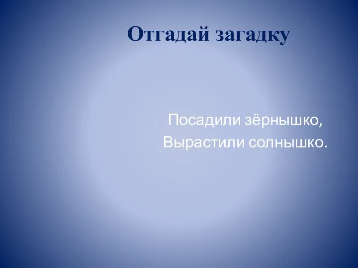 Отгадай загадку Посадили зёрнышко, Вырастили солнышко.