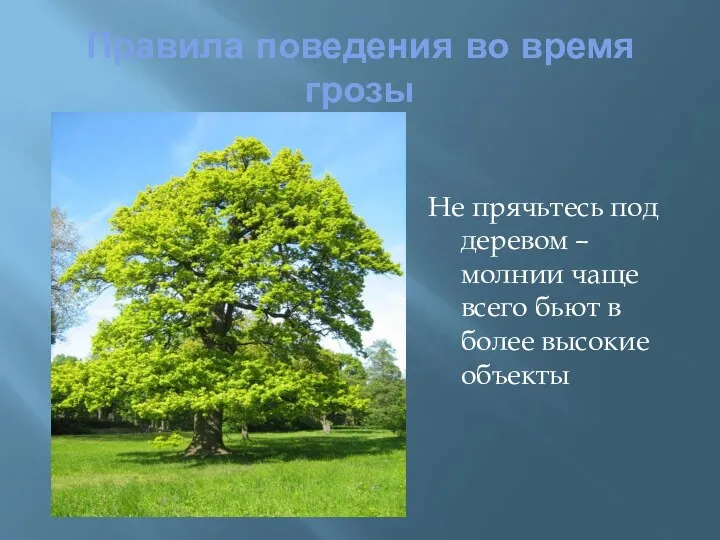 Правила поведения во время грозы Не прячьтесь под деревом – молнии чаще всего