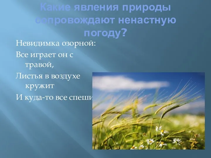 Какие явления природы сопровождают ненастную погоду? Невидимка озорной: Все играет он с травой,