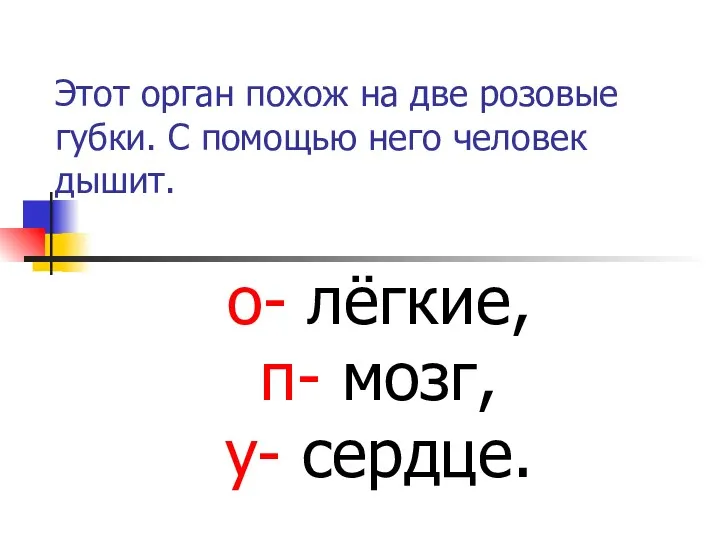 Этот орган похож на две розовые губки. С помощью него