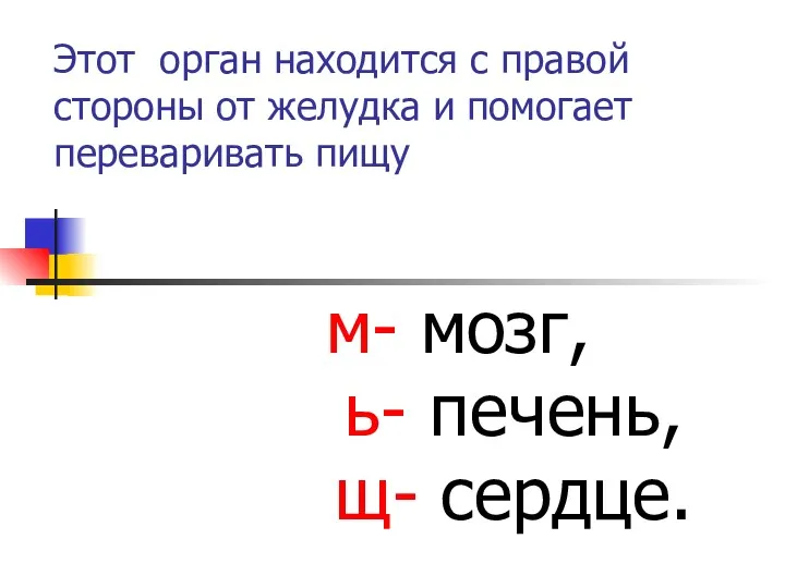 Этот орган находится с правой стороны от желудка и помогает