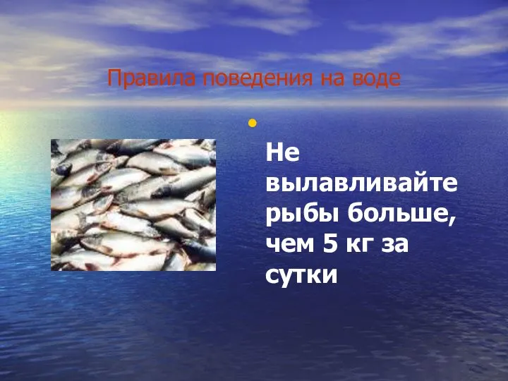 Правила поведения на воде Не вылавливайте рыбы больше, чем 5 кг за сутки