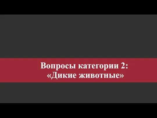 Вопросы категории 2: «Дикие животные»