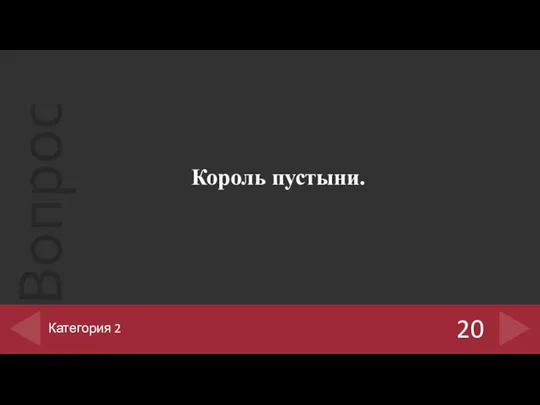 Король пустыни. 20 Категория 2