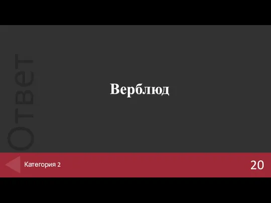 Верблюд 20 Категория 2