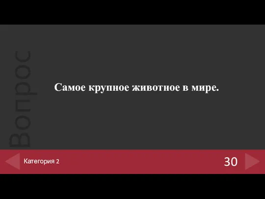 Самое крупное животное в мире. 30 Категория 2