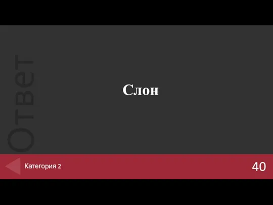 Слон 40 Категория 2