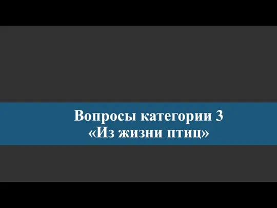 Вопросы категории 3 «Из жизни птиц»