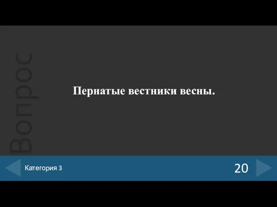 Пернатые вестники весны. 20 Категория 3