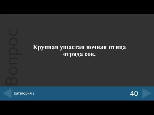 Крупная ушастая ночная птица отряда сов. 40 Категория 3