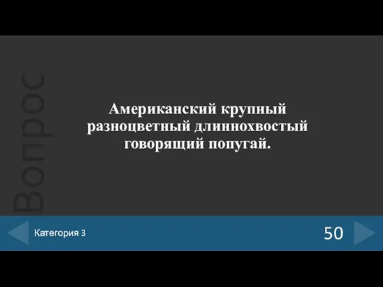 Американский крупный разноцветный длиннохвостый говорящий попугай. 50 Категория 3