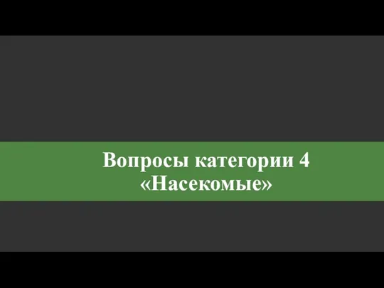 Вопросы категории 4 «Насекомые»