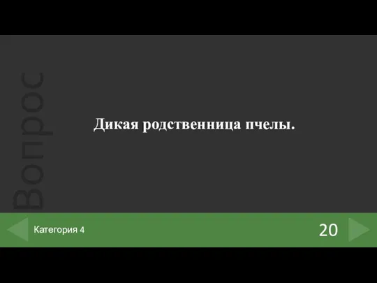 Дикая родственница пчелы. 20 Категория 4