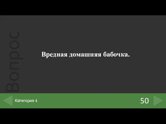 Вредная домашняя бабочка. 50 Категория 4