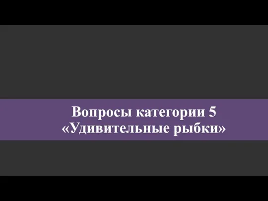 Вопросы категории 5 «Удивительные рыбки»