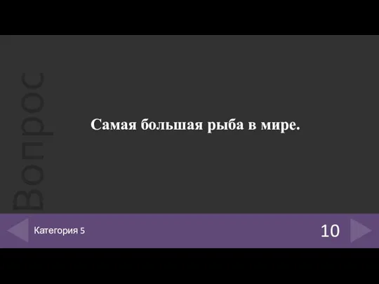 Самая большая рыба в мире. 10 Категория 5