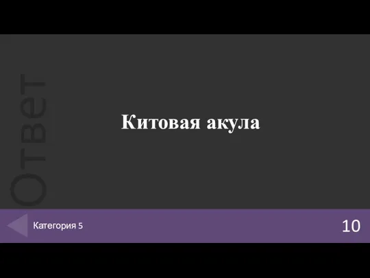 Китовая акула 10 Категория 5