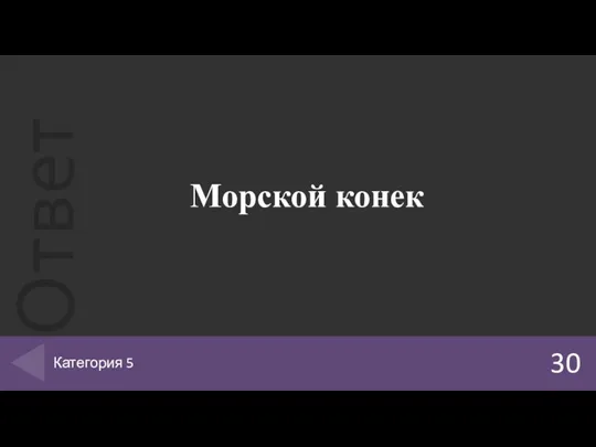 Морской конек 30 Категория 5