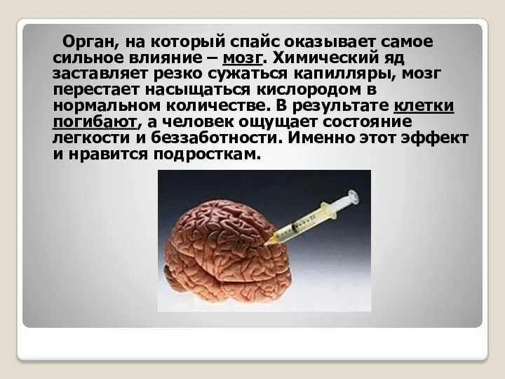 Орган, на который спайс оказывает самое сильное влияние – мозг.