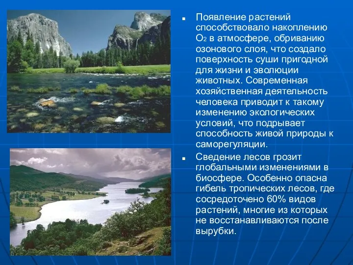 Появление растений способствовало накоплению О2 в атмосфере, обриванию озонового слоя,