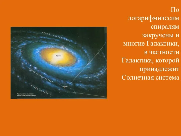 По логарифмичесим спиралям закручены и многие Галактики, в частности Галактика, которой принадлежит Солнечная система