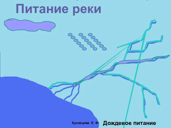 Питание реки Дождевое питание Кузнецова Е. Ф.