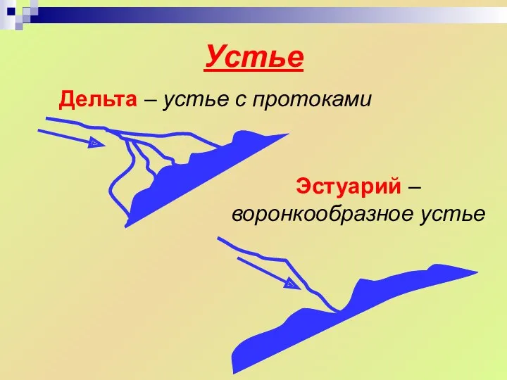 Устье Дельта – устье с протоками Эстуарий – воронкообразное устье