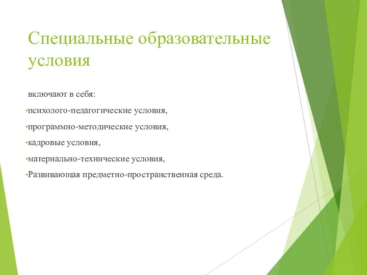 Специальные образовательные условия включают в себя: психолого-педагогические условия, программно-методические условия,