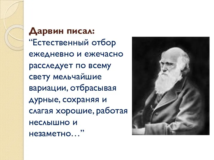 Дарвин писал: “Естественный отбор ежедневно и ежечасно расследует по всему